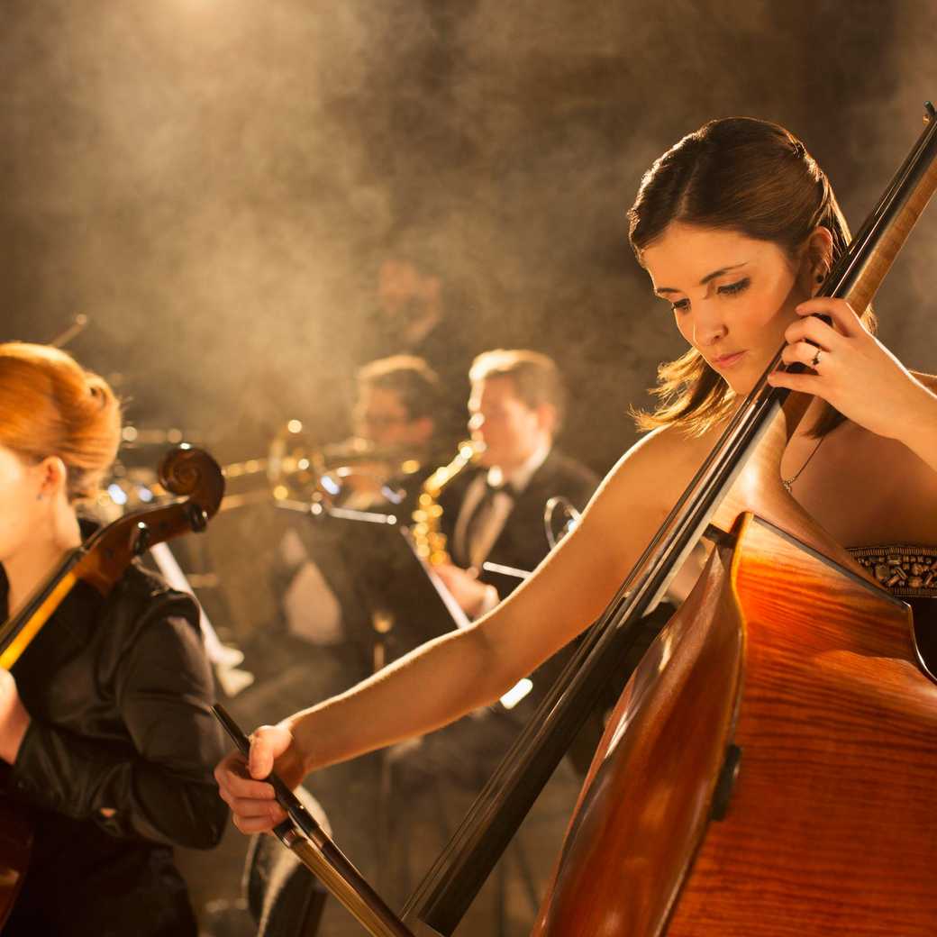 The Orchestra in My Mind